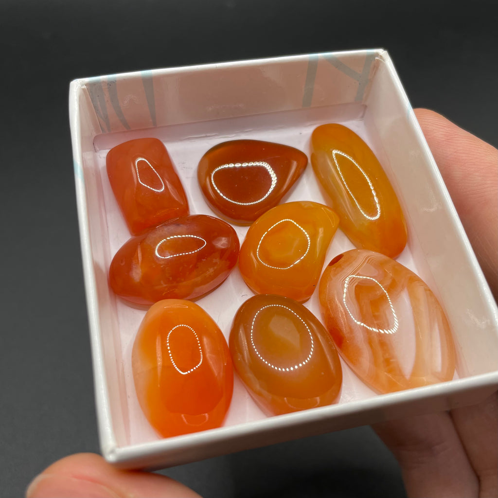 Carnelian Cabochon Selection Box