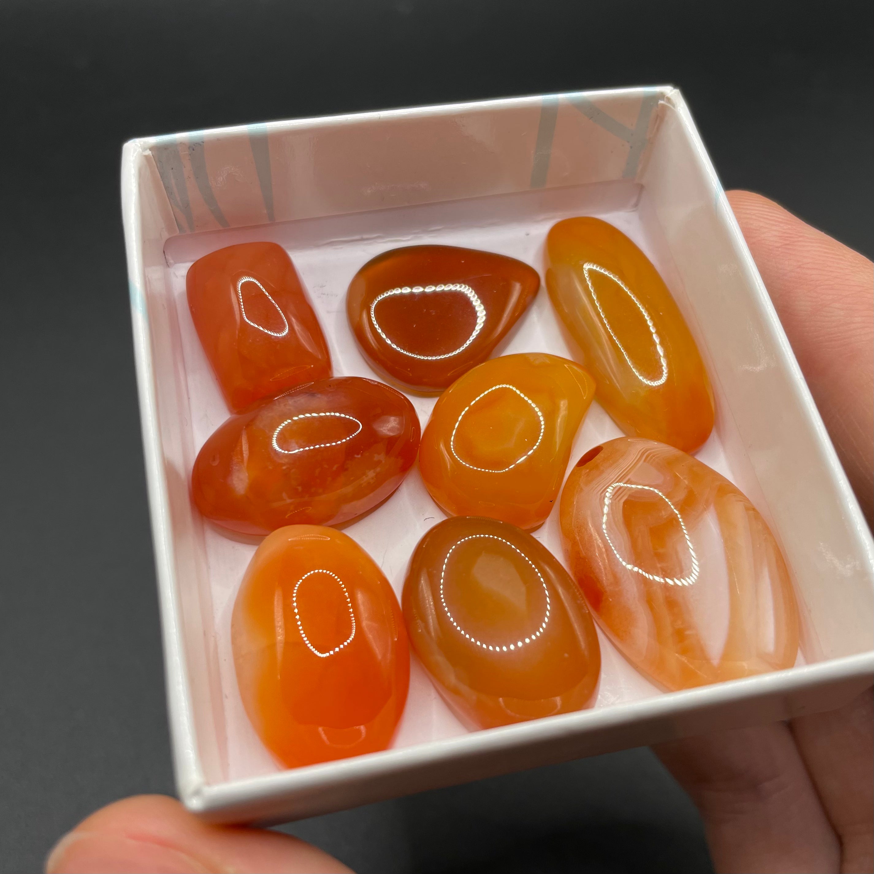 Carnelian Cabochon Selection Box