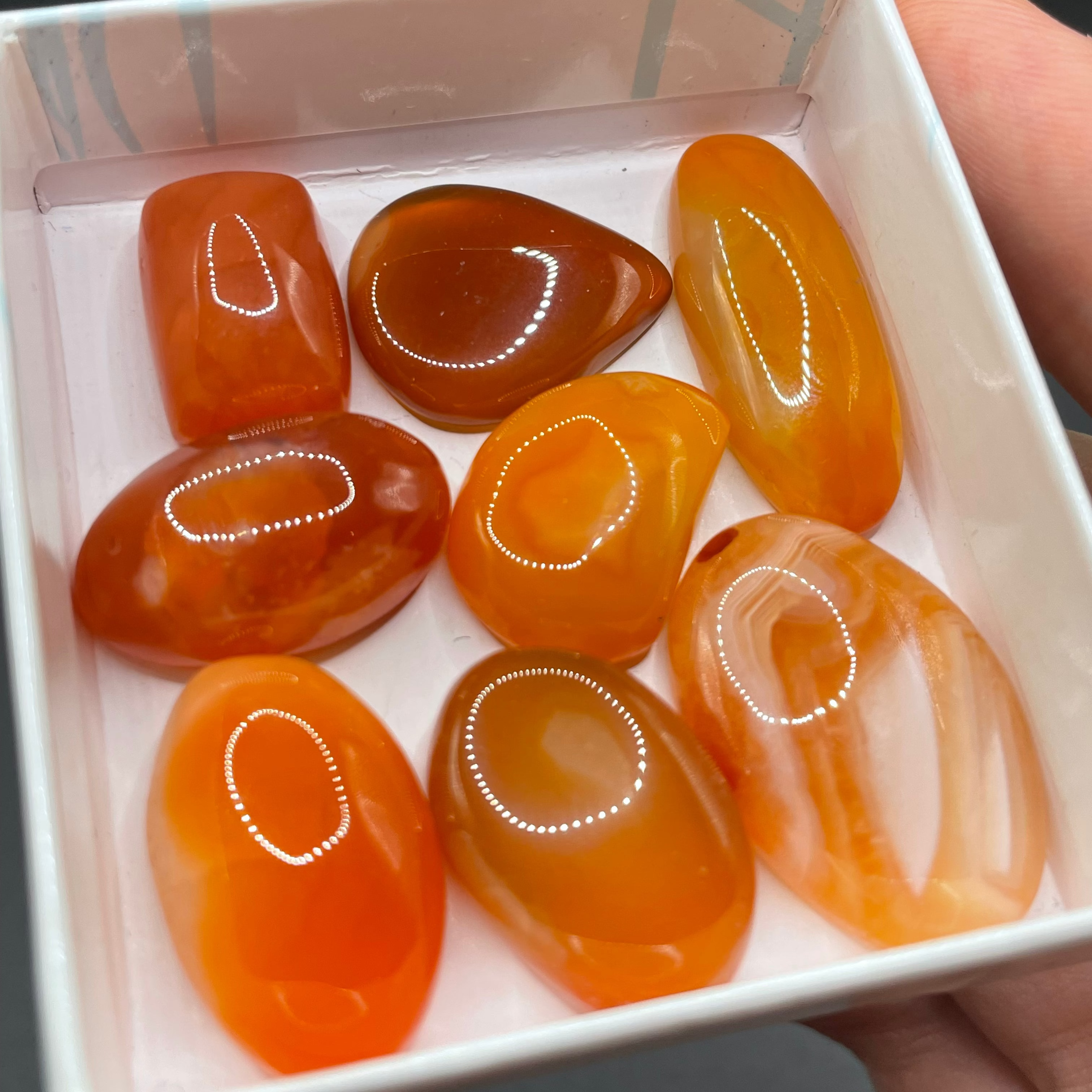 Carnelian Cabochon Selection Box