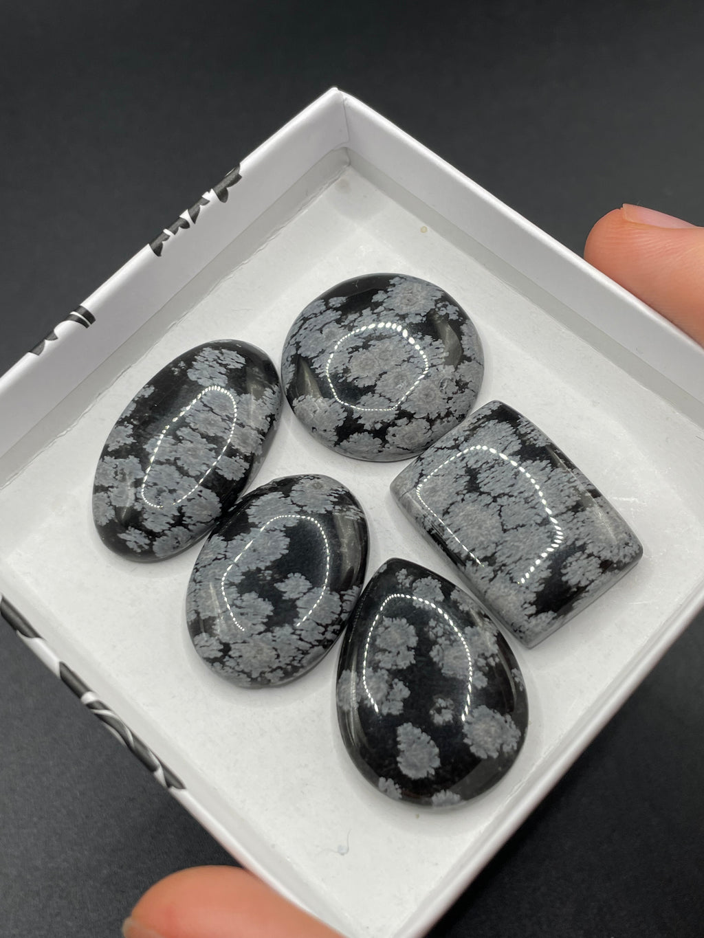 Snowflake Obsidian Cabochon Selection Box