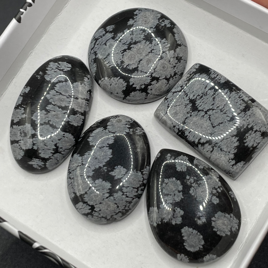 Snowflake Obsidian Cabochon Selection Box