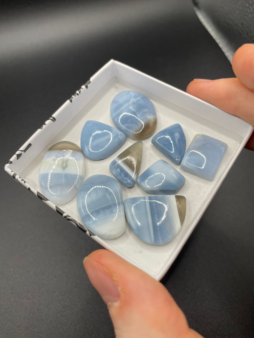 Blue Owyhee Opal Cabochon Selection Box