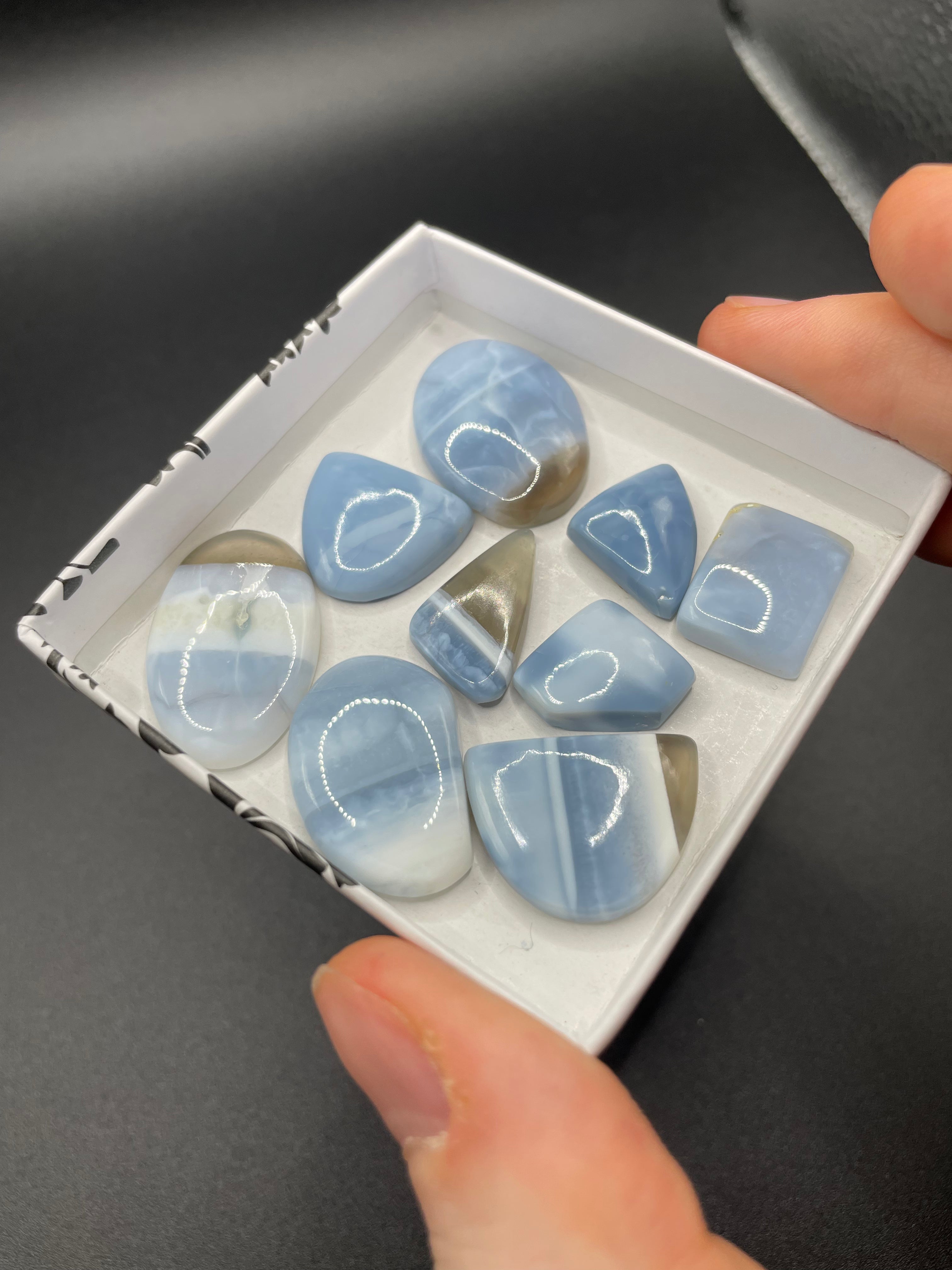 Blue Owyhee Opal Cabochon Selection Box